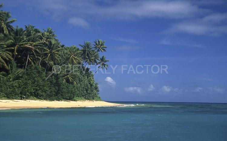 Islands;blue water;fiji;palm trees;blue sky